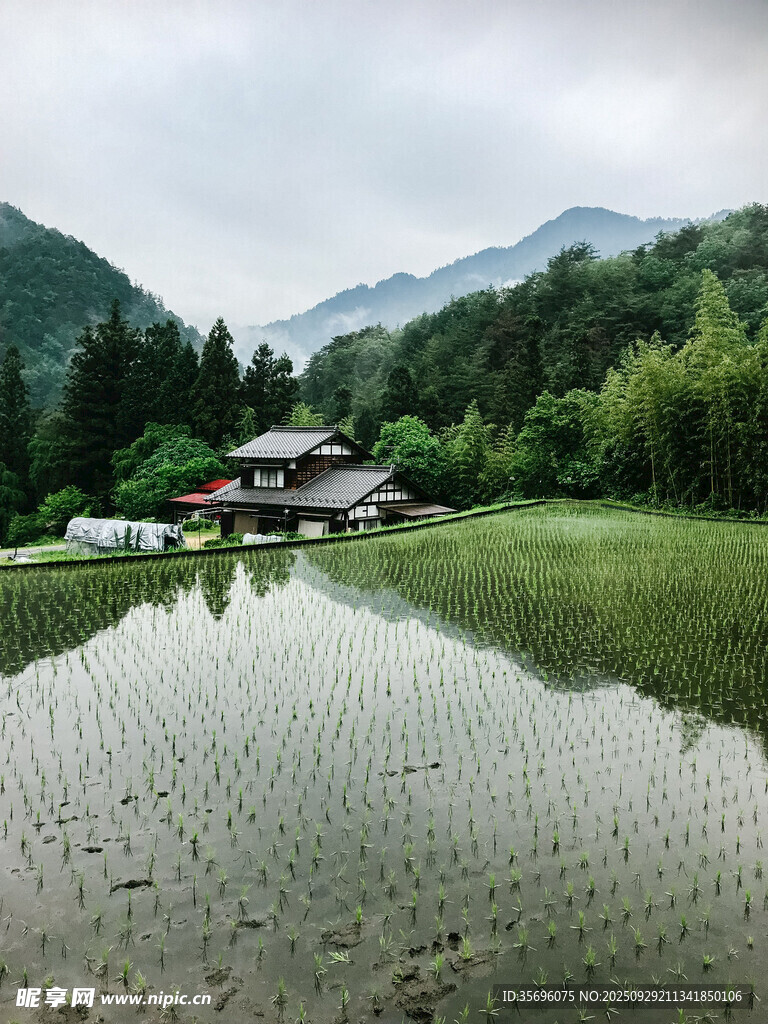 山間稻田旁的古樸小屋