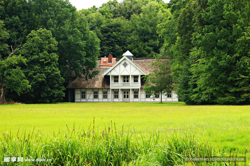 綠野中的溫馨鄉(xiāng)村小屋