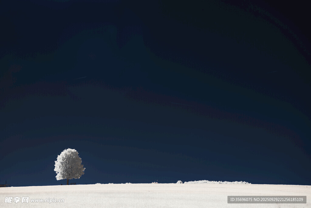 雪地中的孤獨身影