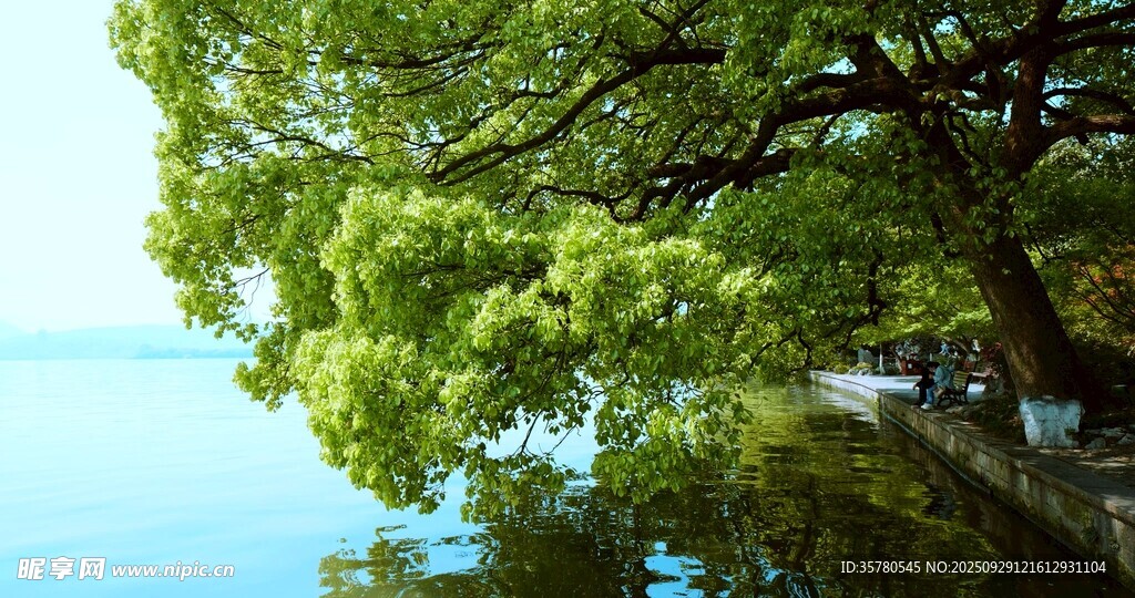 西湖旅游風(fēng)景區(qū)拍航拍素材
