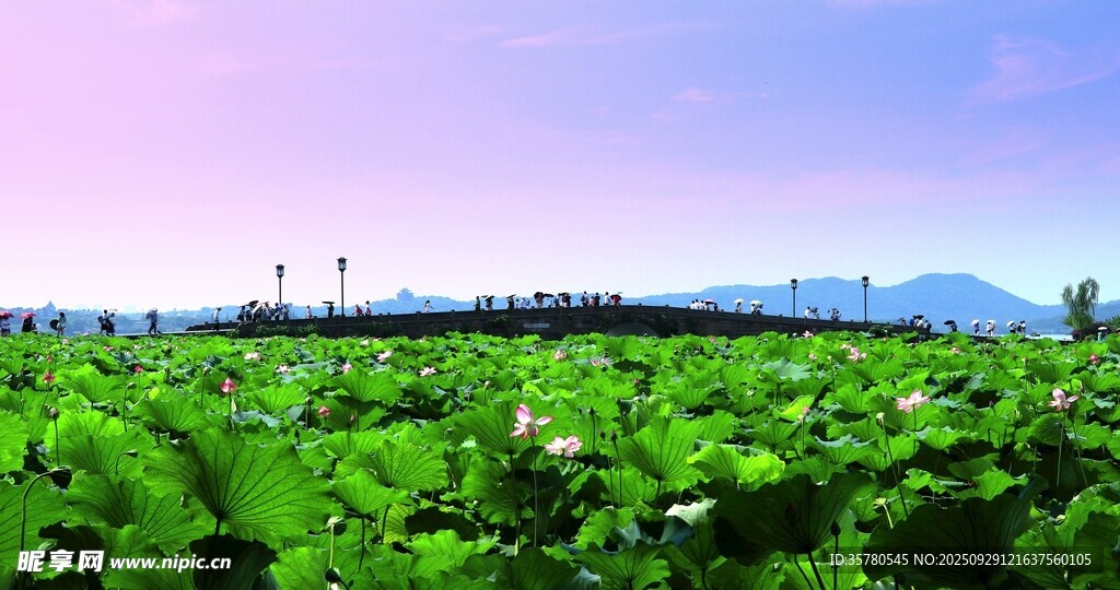 西湖旅游風(fēng)景區(qū)拍航拍素材