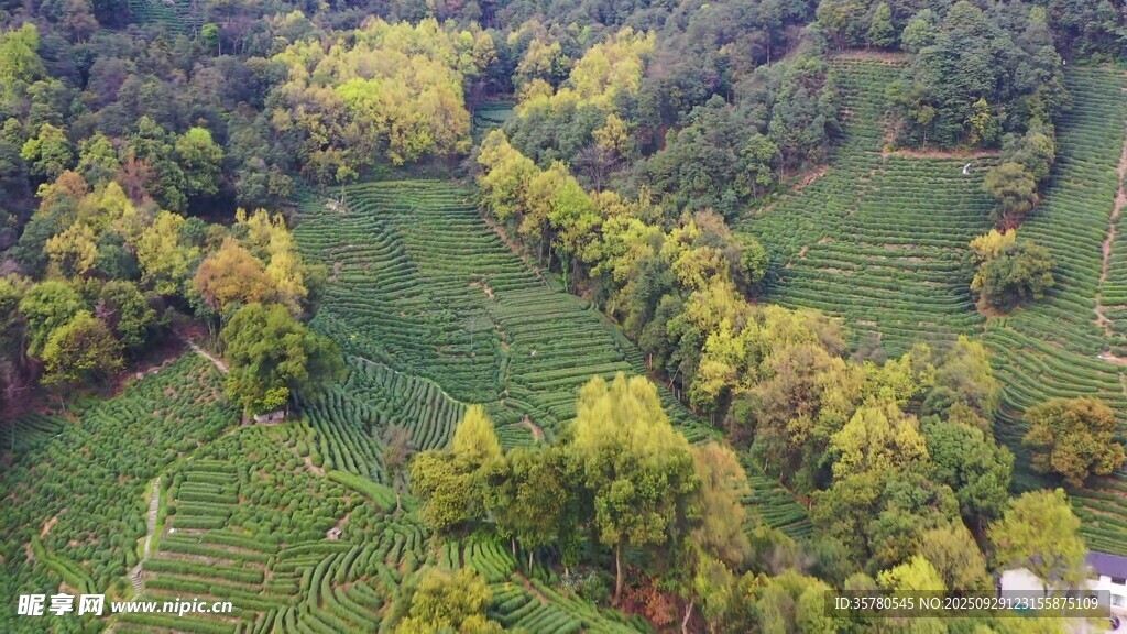西湖旅游風(fēng)景區(qū)拍航拍素材