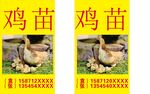 售賣圖