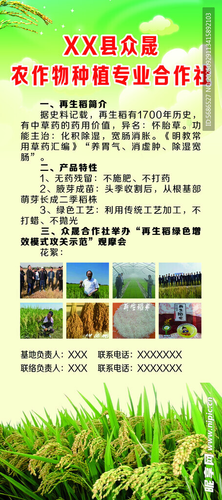 綠色草地旁的多樣景觀展示