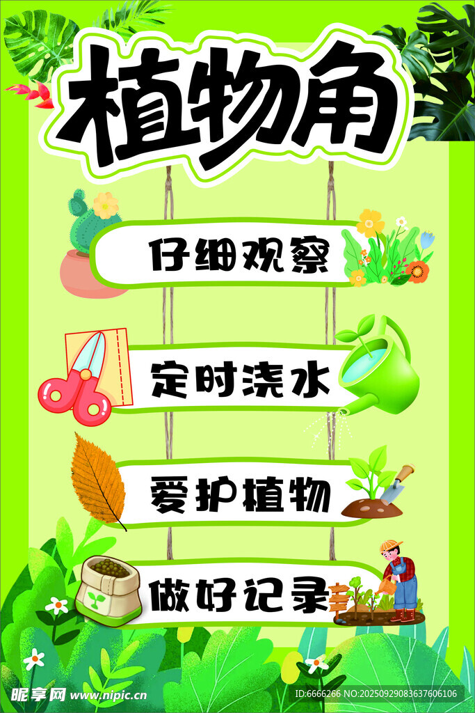 小學植物角