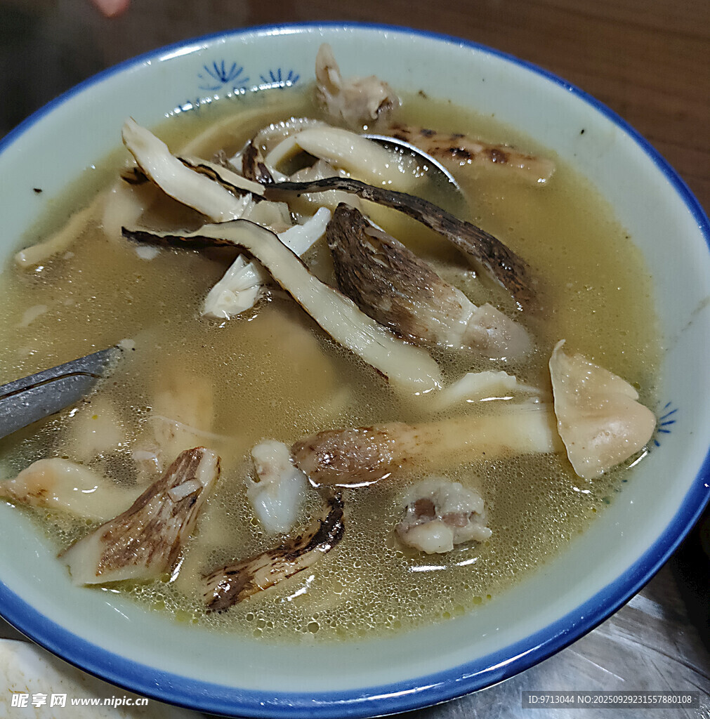 雞樅