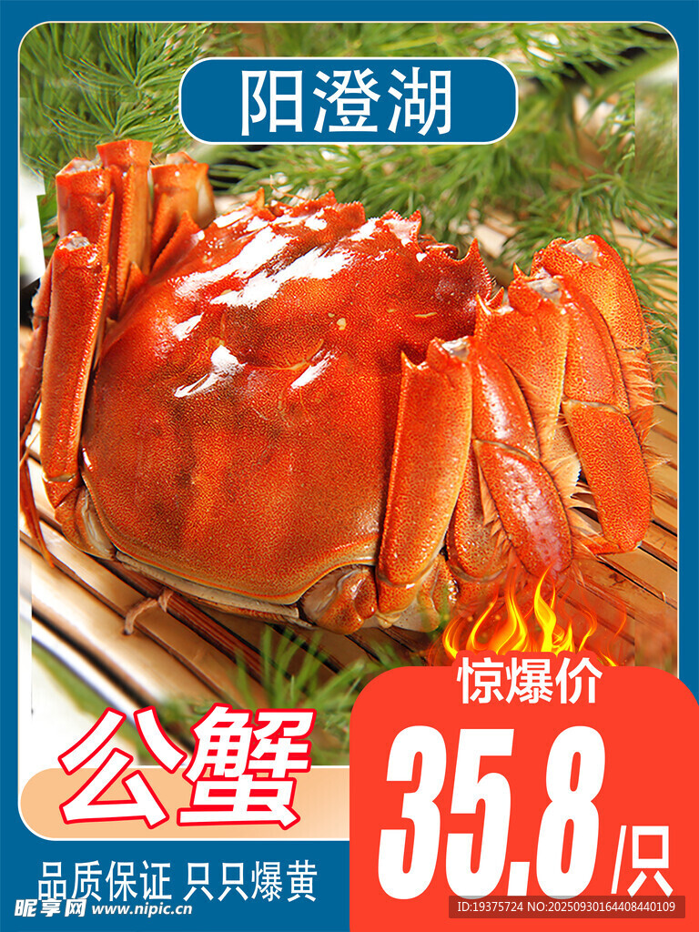 陽澄湖公蟹