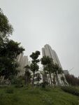 城市綠地旁的高樓景觀