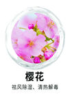 櫻花