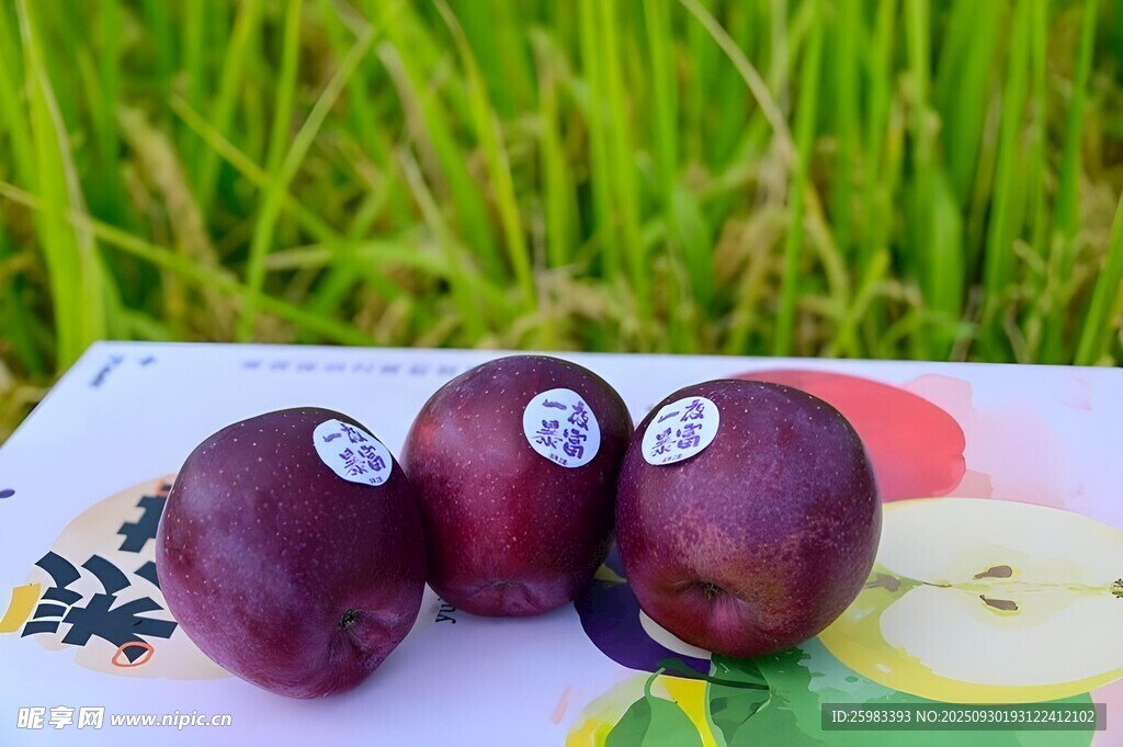 蘋(píng)果