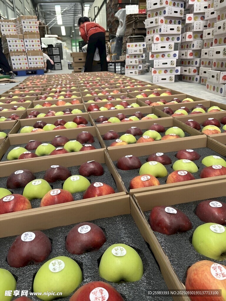 蘋果