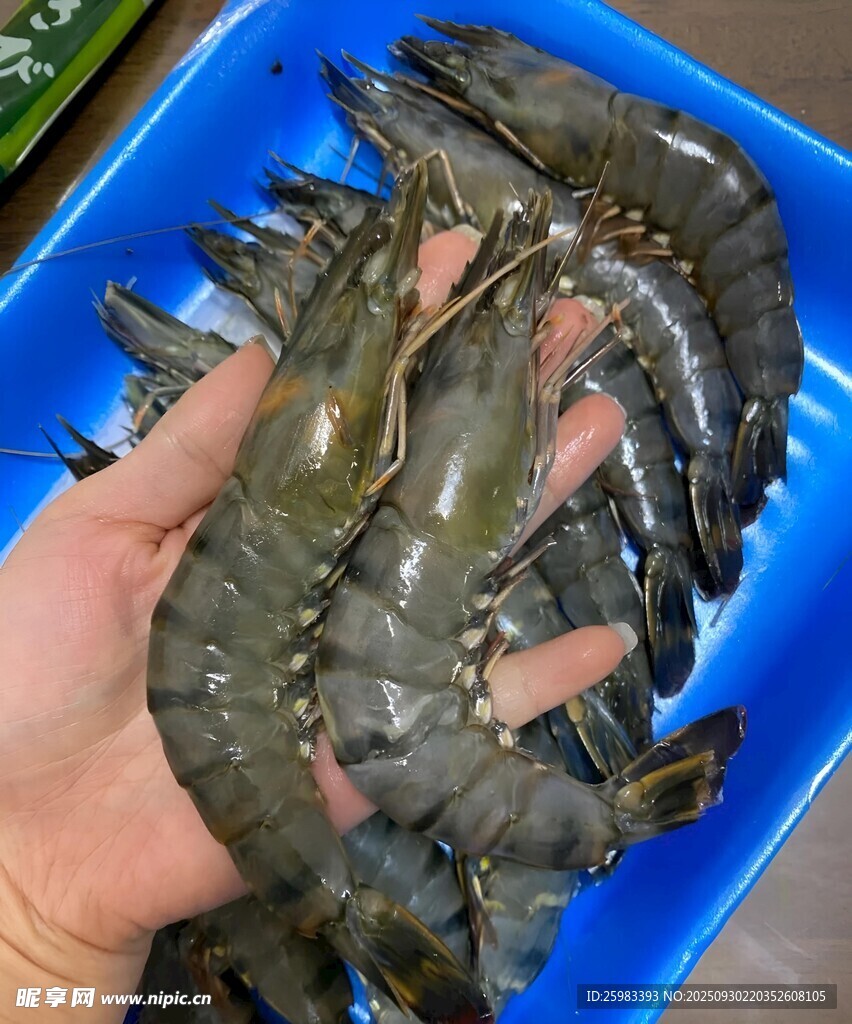 對(duì)蝦