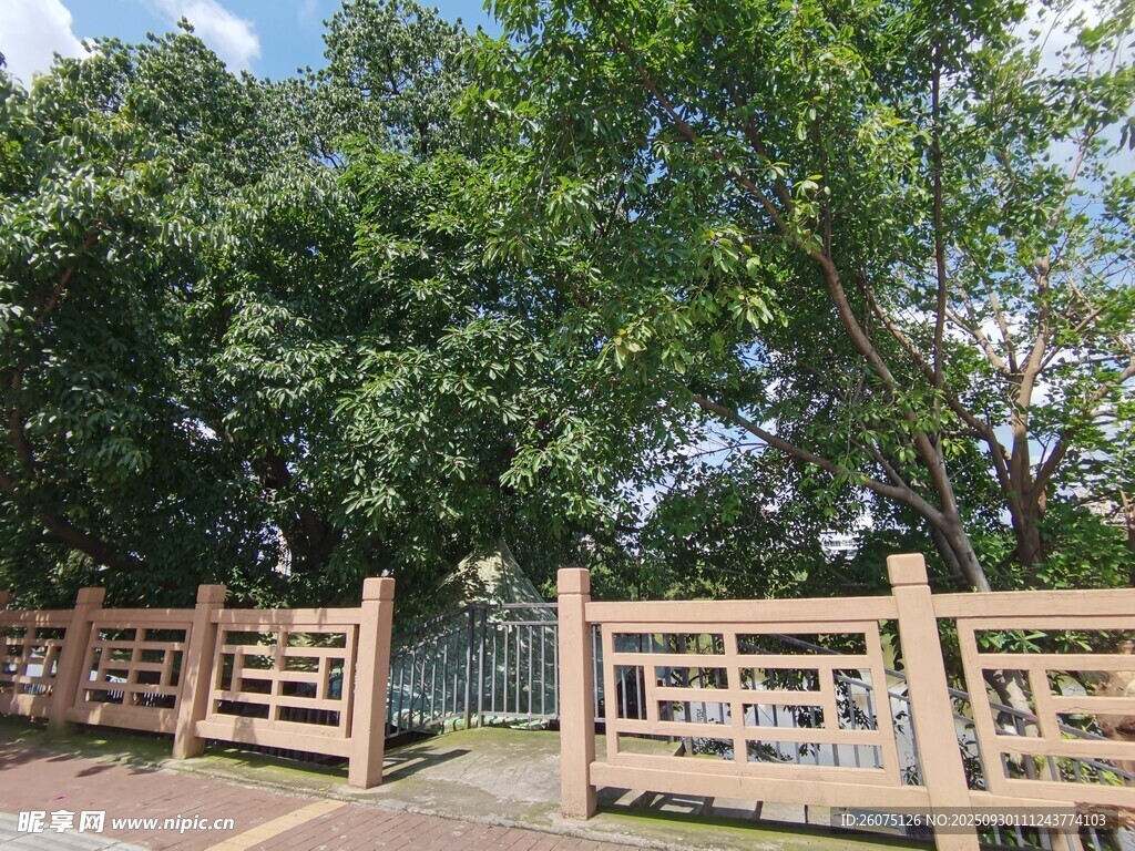 戶外木質(zhì)圍欄與綠樹景觀
