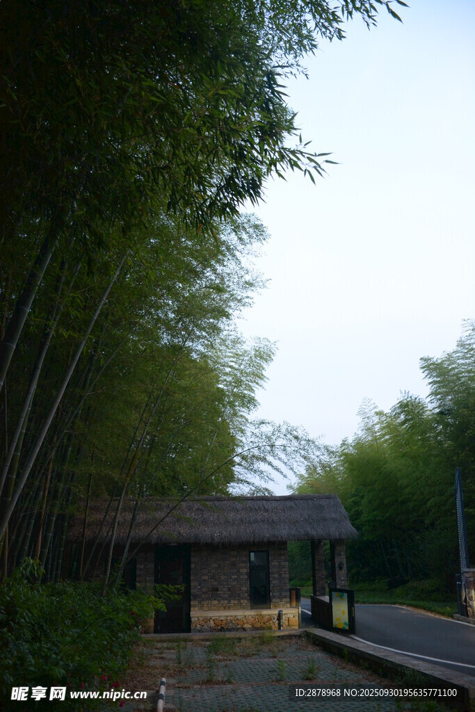 竹林中的古樸小屋