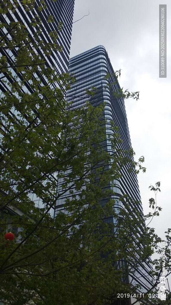 高樓前的繁茂綠植
