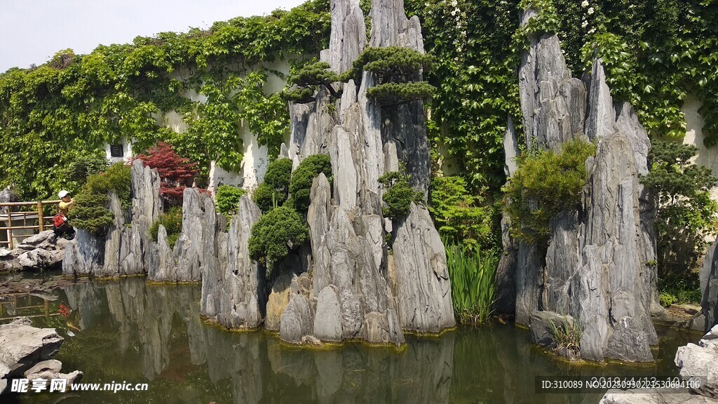 中式園林假山池景