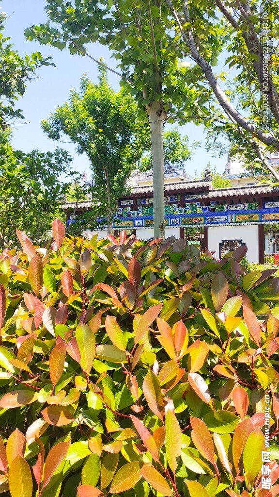 多彩樹(shù)葉環(huán)繞的鄉(xiāng)村景象