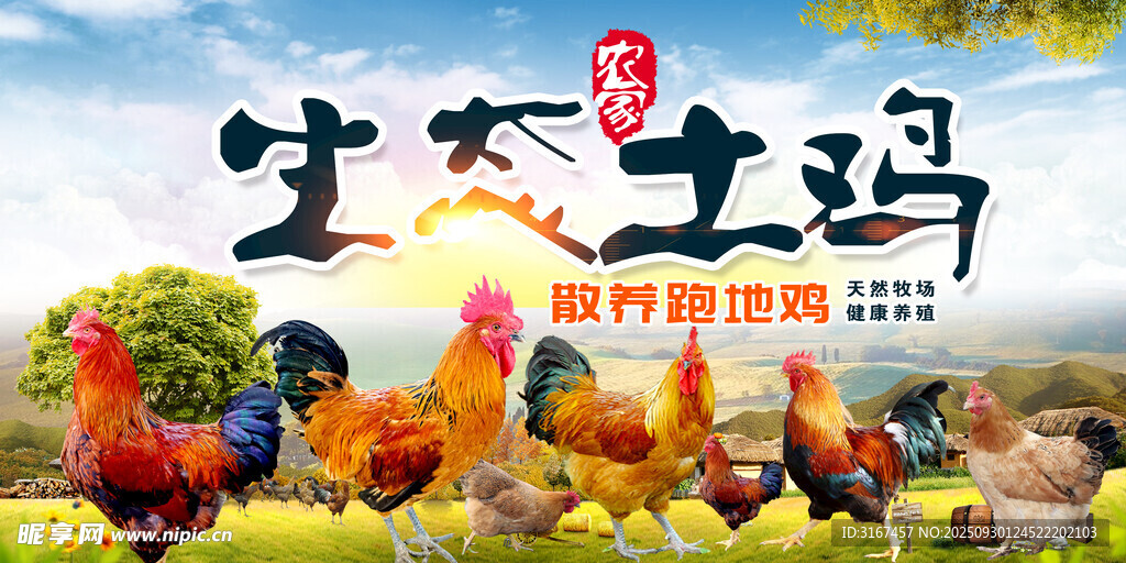 美食背景