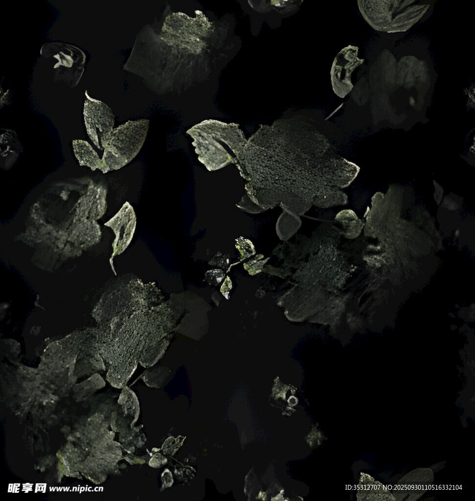 夢幻黑金蝴蝶花卉圖案