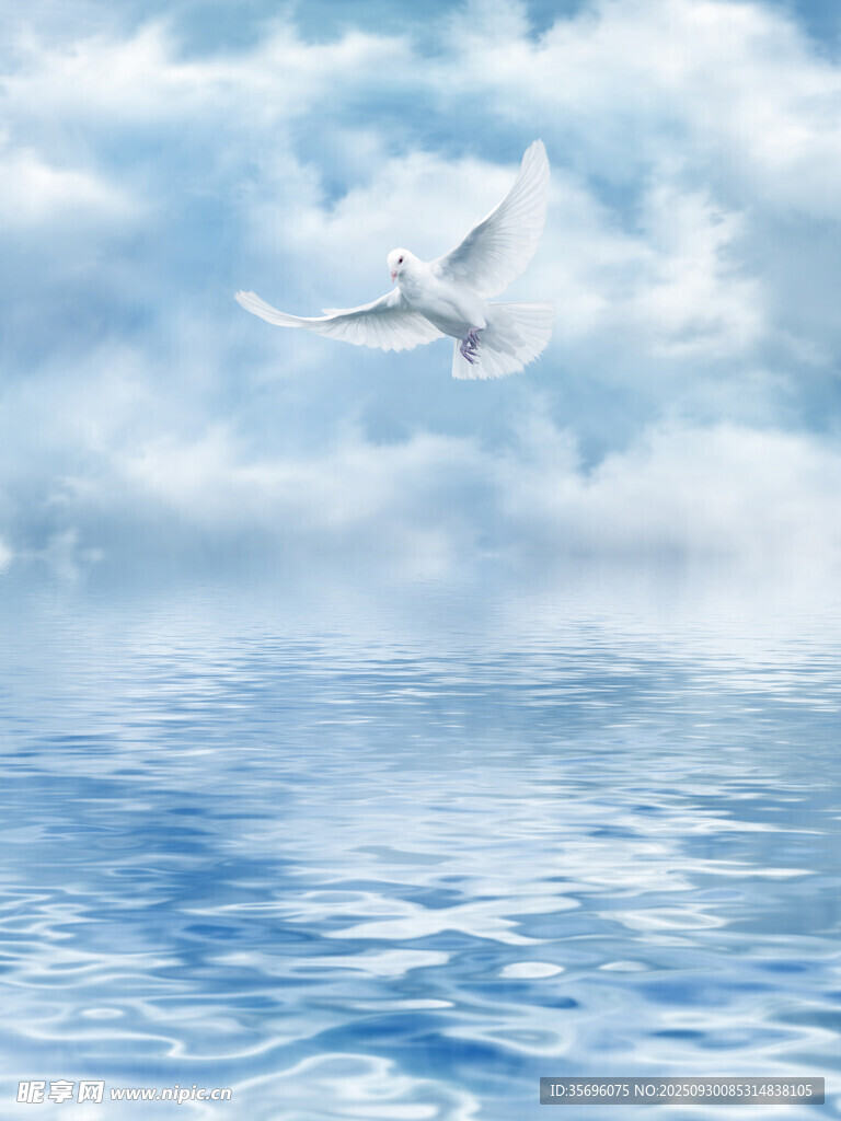 藍(lán)天碧海間的飛翔白鴿
