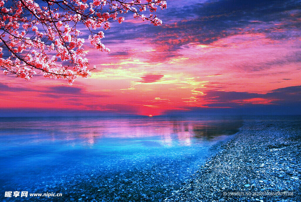 夢幻湖畔日落櫻花美景