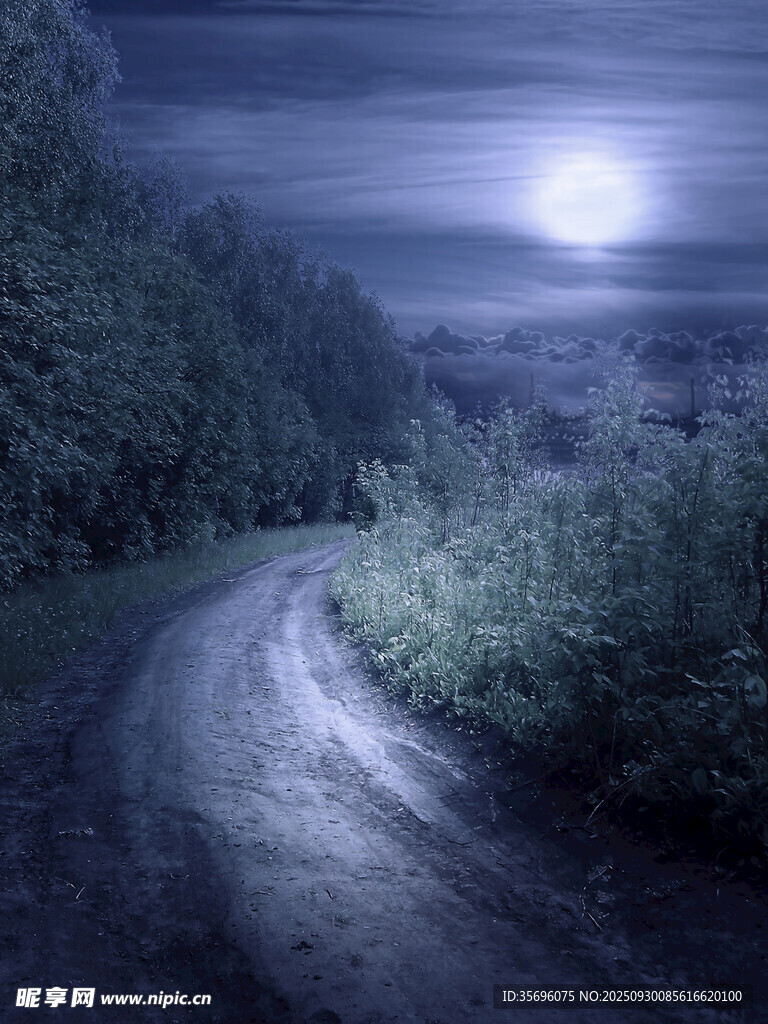 月夜下的林間蜿蜒小路