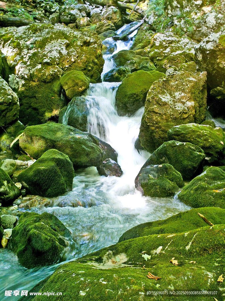 山間溪流繞青苔石流淌
