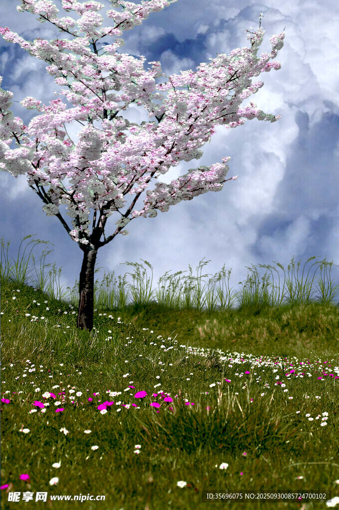 唯美夢(mèng)幻風(fēng)景