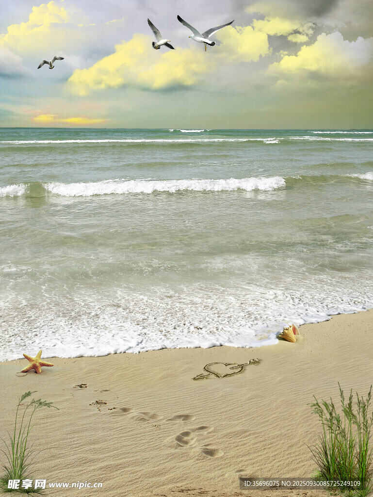 海邊沙灘海浪飛鳥美景