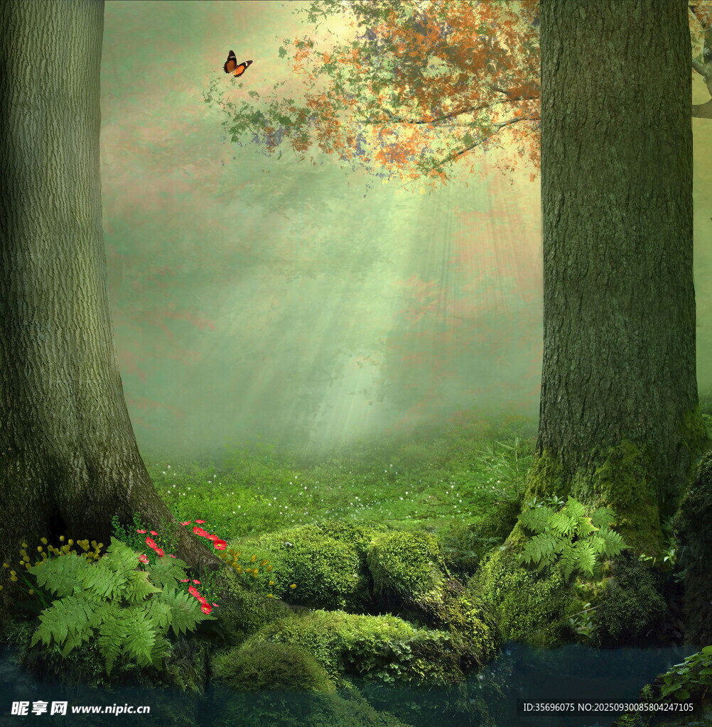 夢(mèng)幻森林晨光中的自然美景