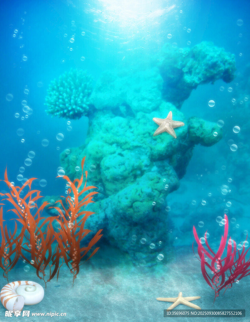 海底珊瑚與海星景觀