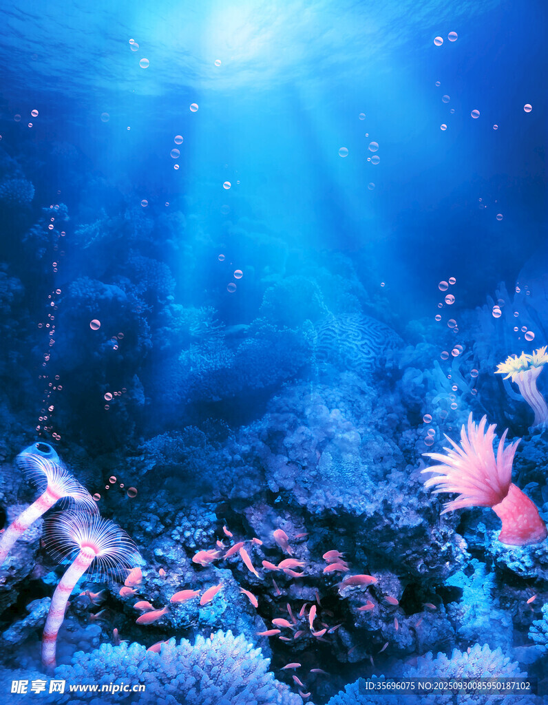 夢幻海底珊瑚與游動生物