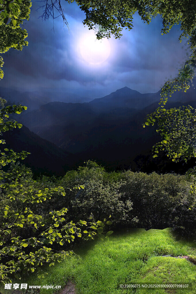 月夜山林美景