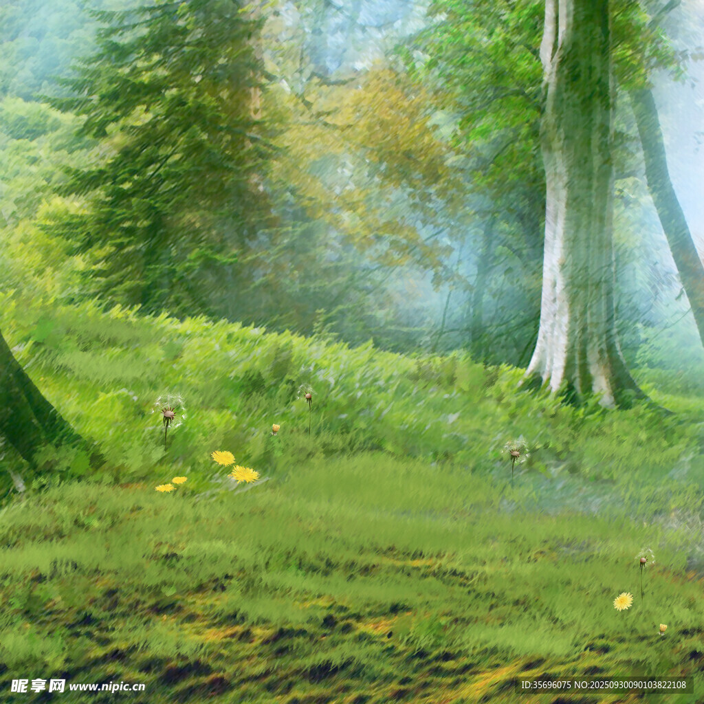 森林中的夢幻綠意景致