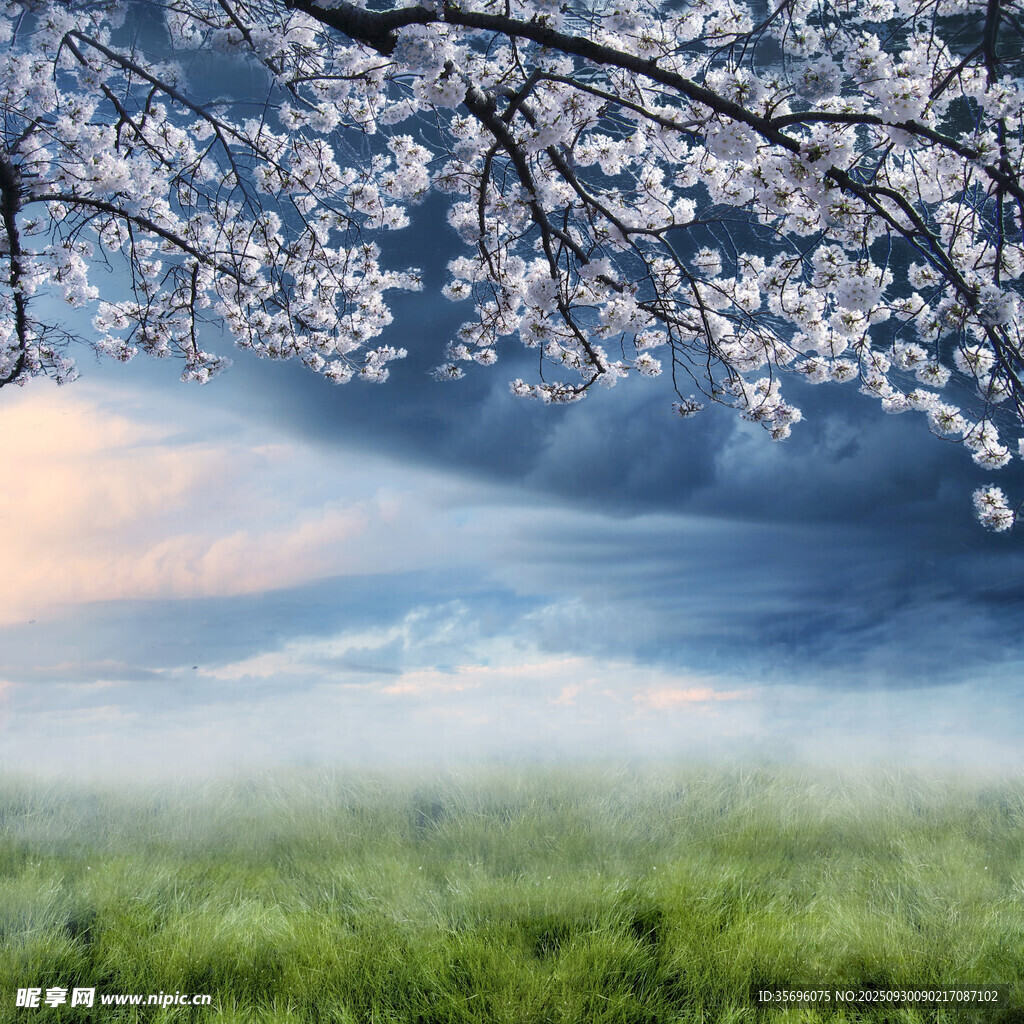 春日繁花下的夢(mèng)幻風(fēng)景