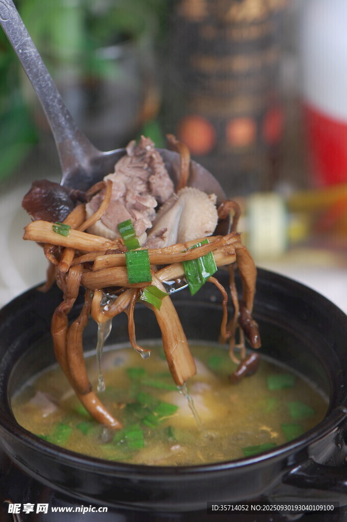 滋補(bǔ)菌菇燉雞火鍋