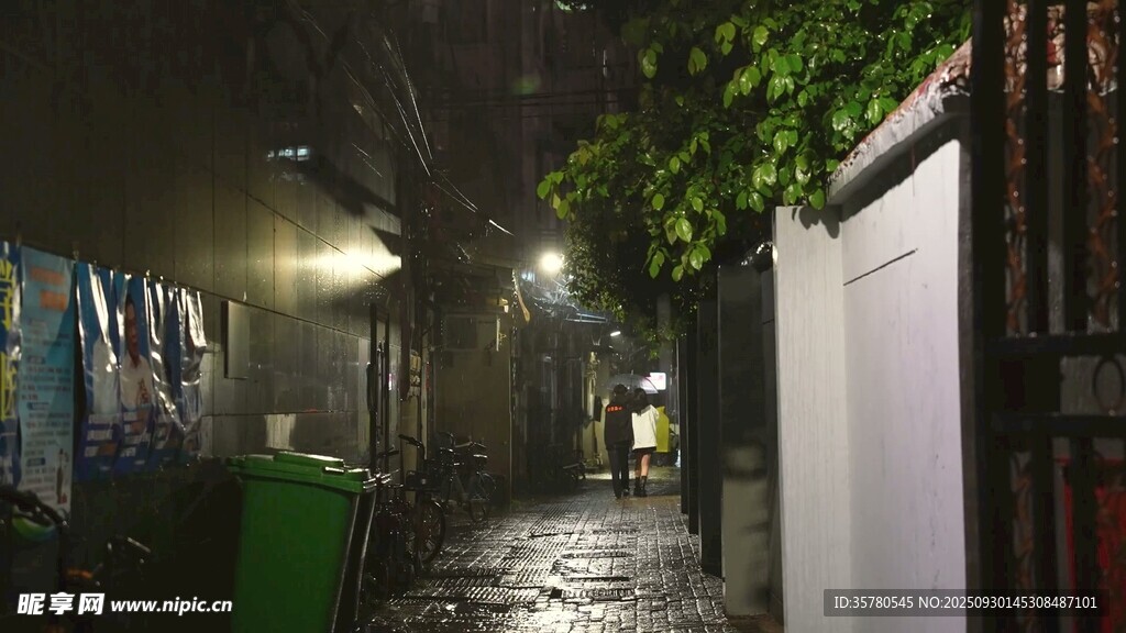 雨夜小巷的靜謐景象