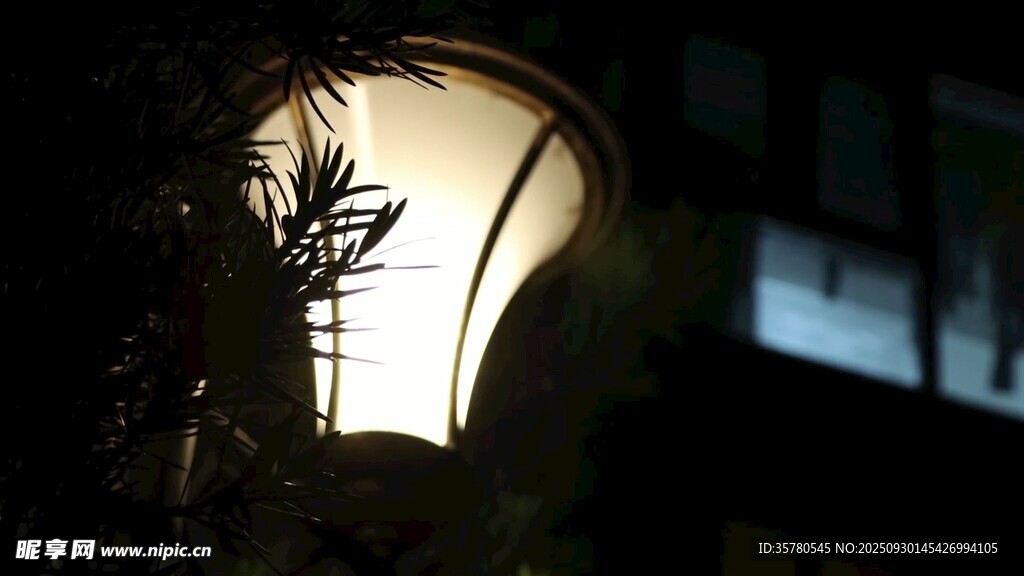 夜晚路燈下的綠植光影