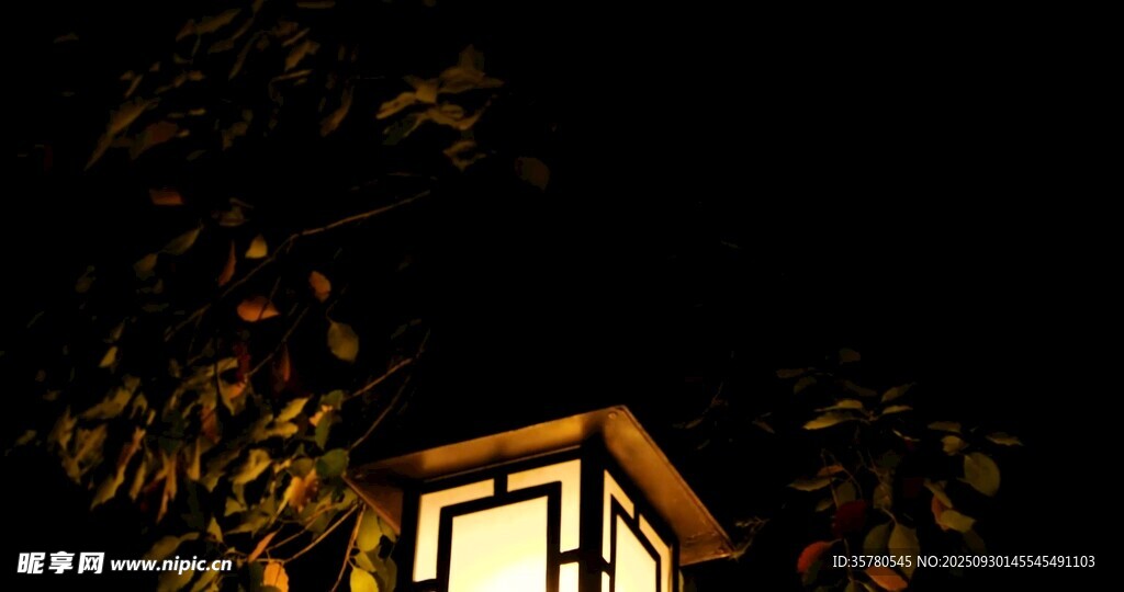 夜晚中的中式庭院燈