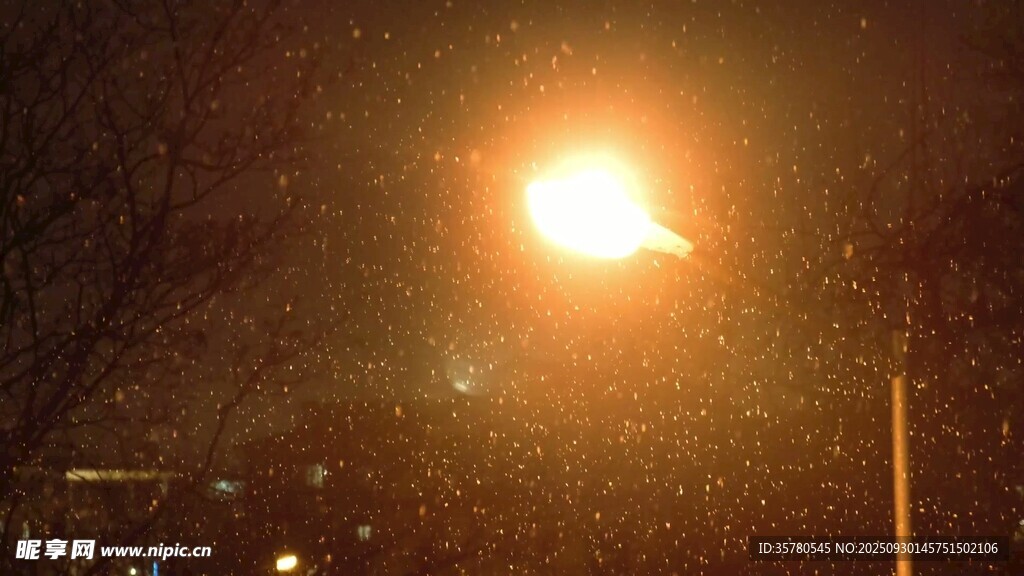 雪夜路燈下的紛飛雪花