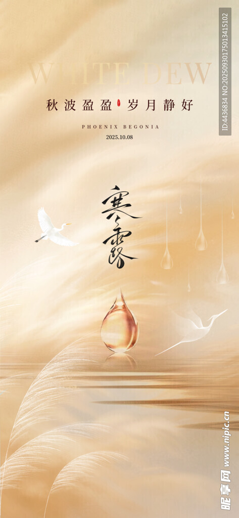 寒露