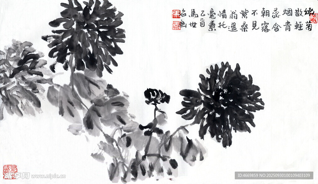 水墨菊花圖