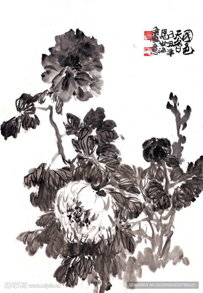 水墨牡丹圖