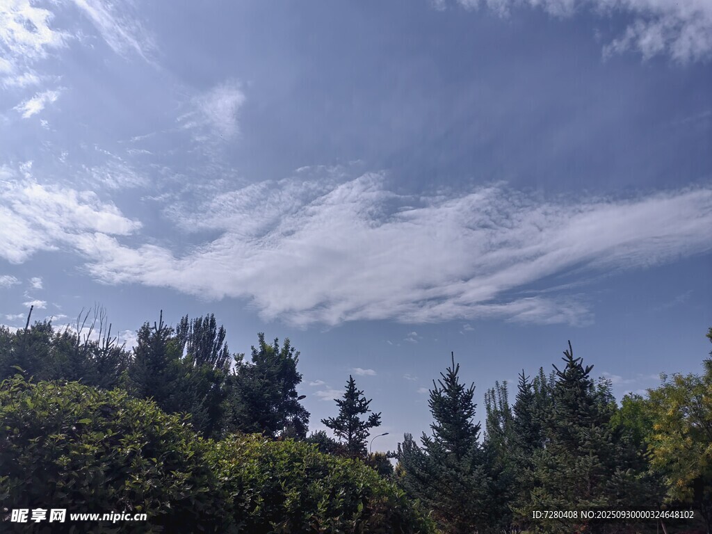 藍天綠樹間的晴朗景致
