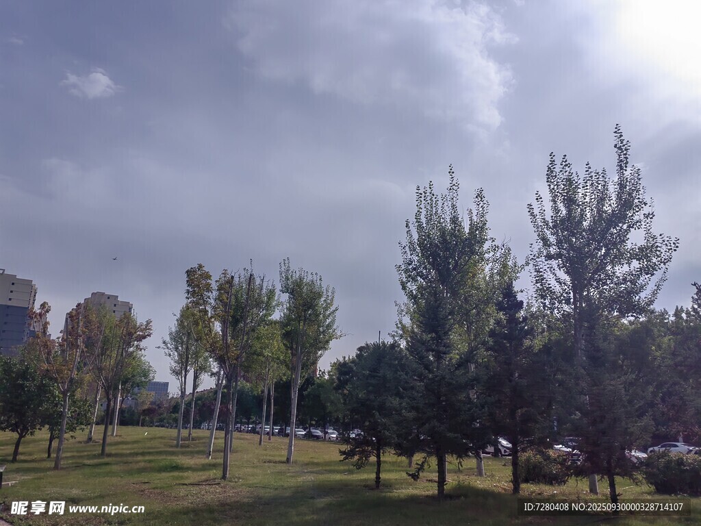 公園綠樹成蔭的開闊景致