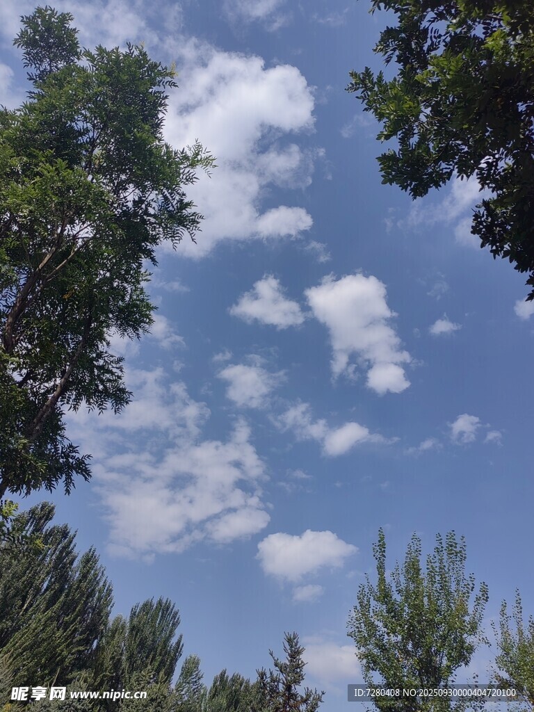 藍(lán)天綠樹間的云朵美景