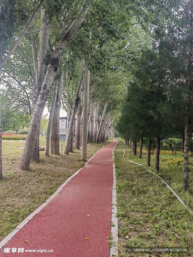 林間紅色健身步道美景