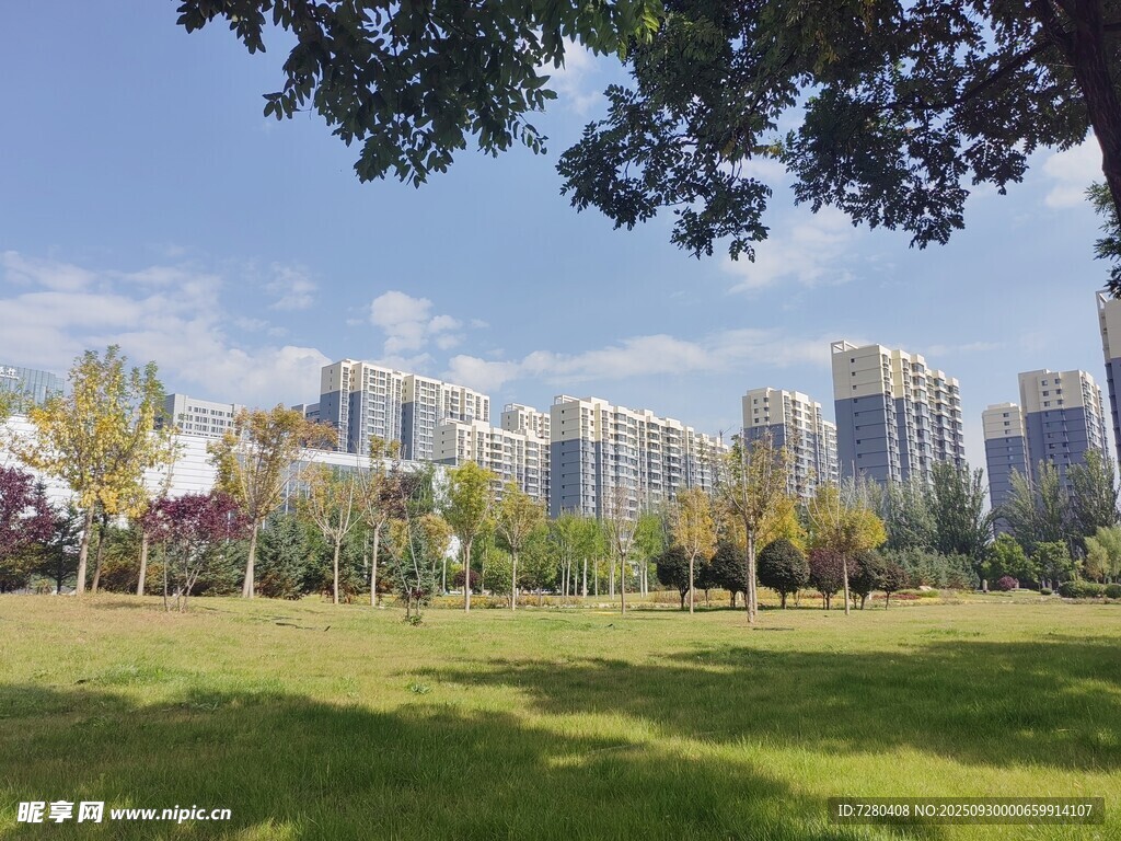城市綠地旁的高樓景觀