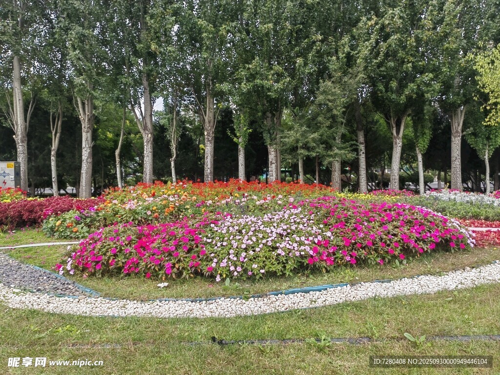 多彩花壇裝點綠意園林