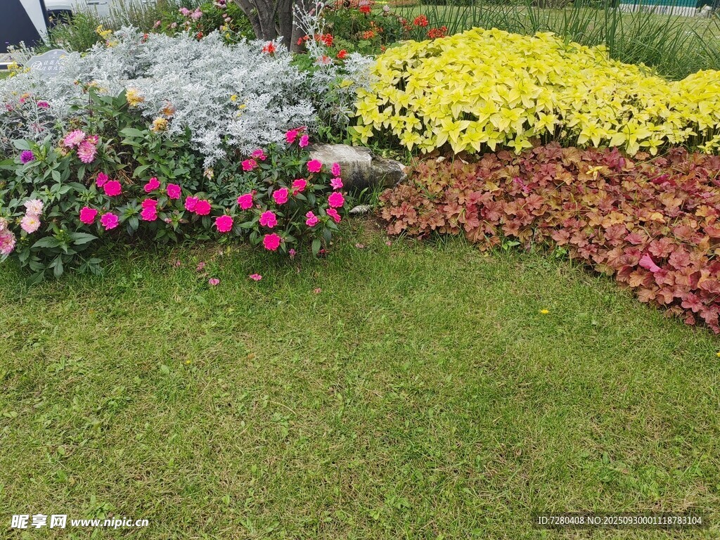 多彩花卉裝點(diǎn)綠色草坪